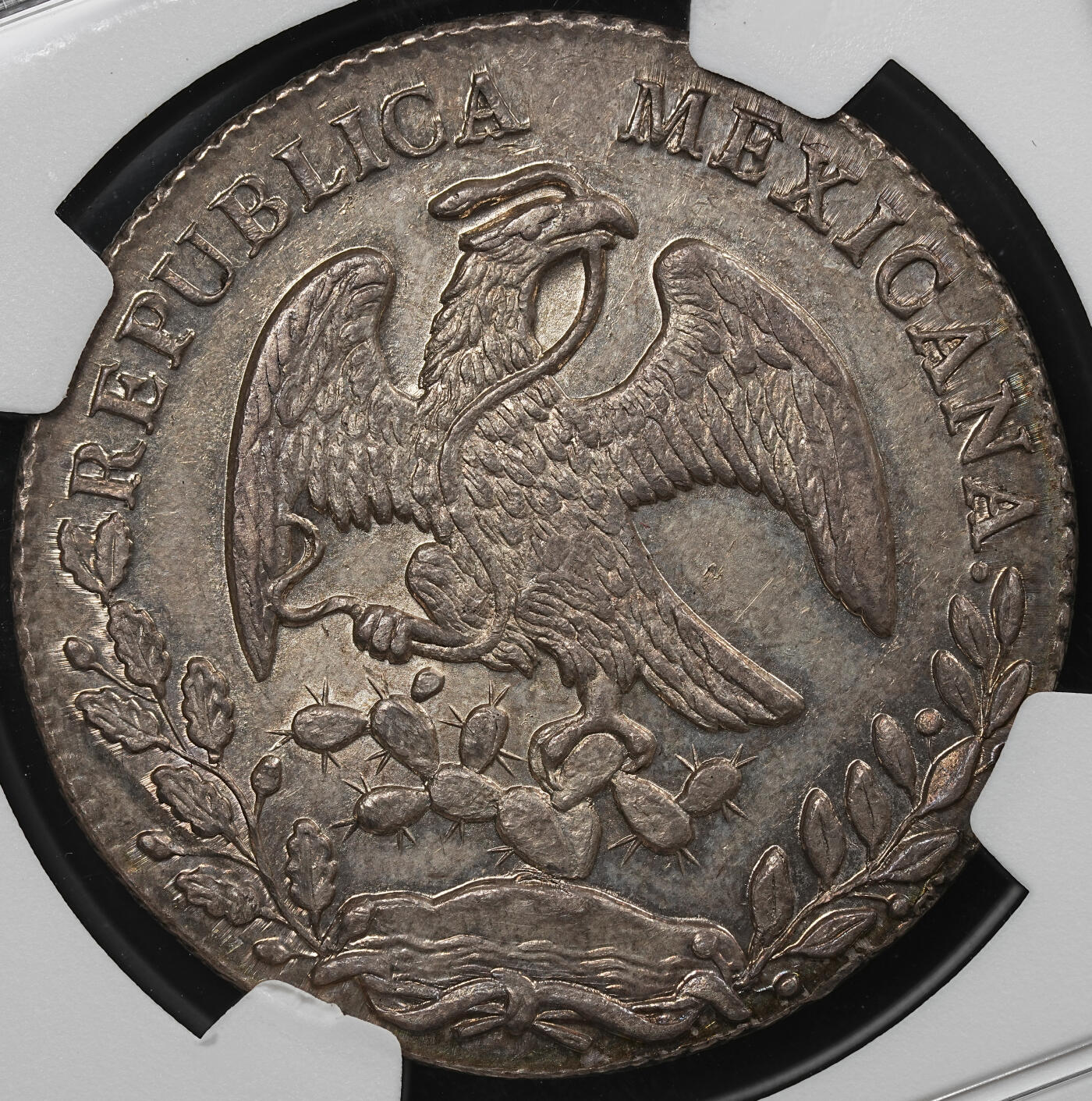 修遠堂世界钱币第九十三期