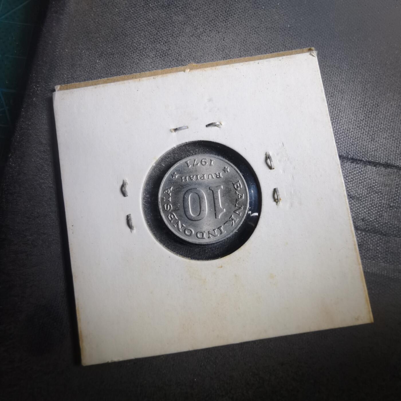 沼泽如烟--第902场