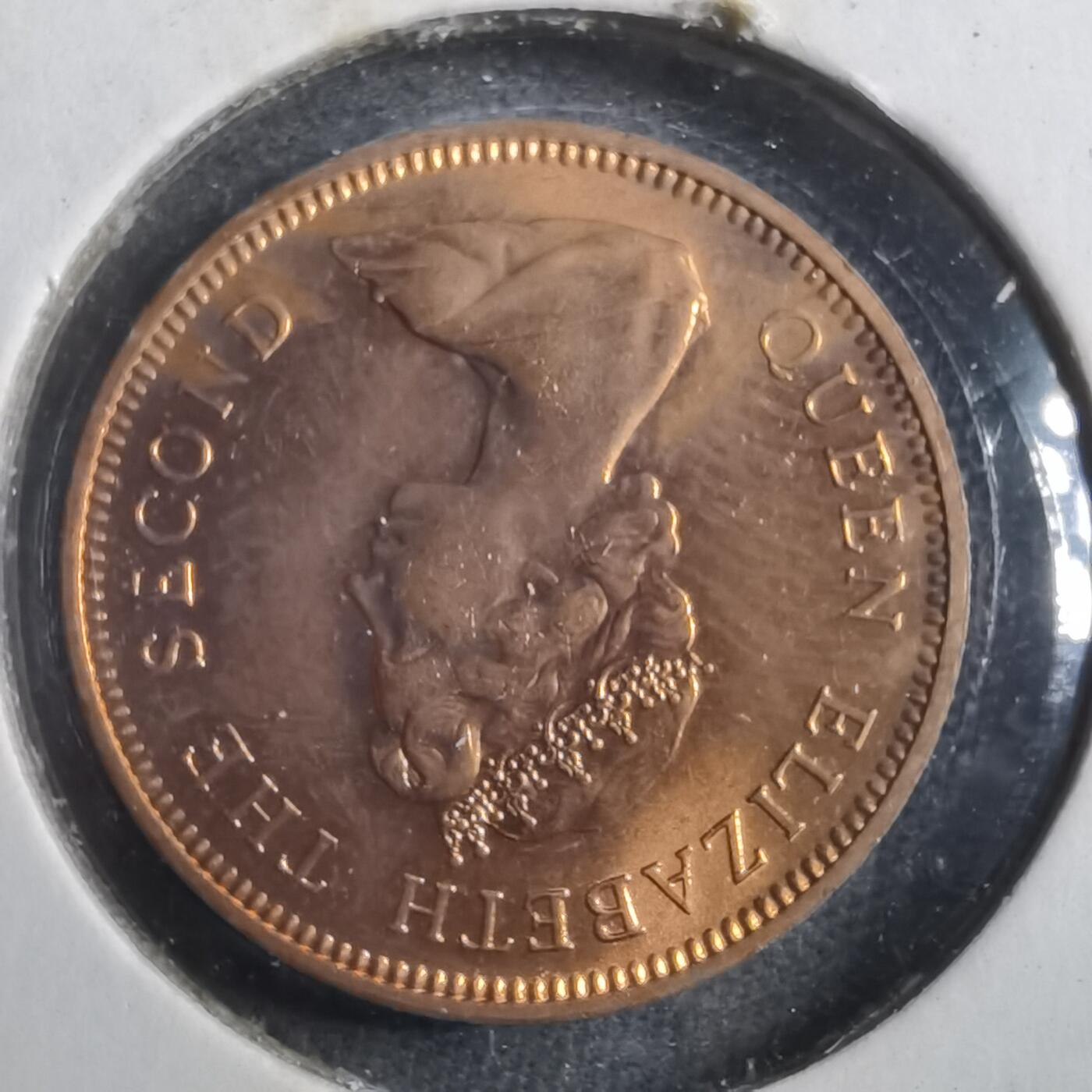 沼泽如烟--第902场 泽西1971年1便士