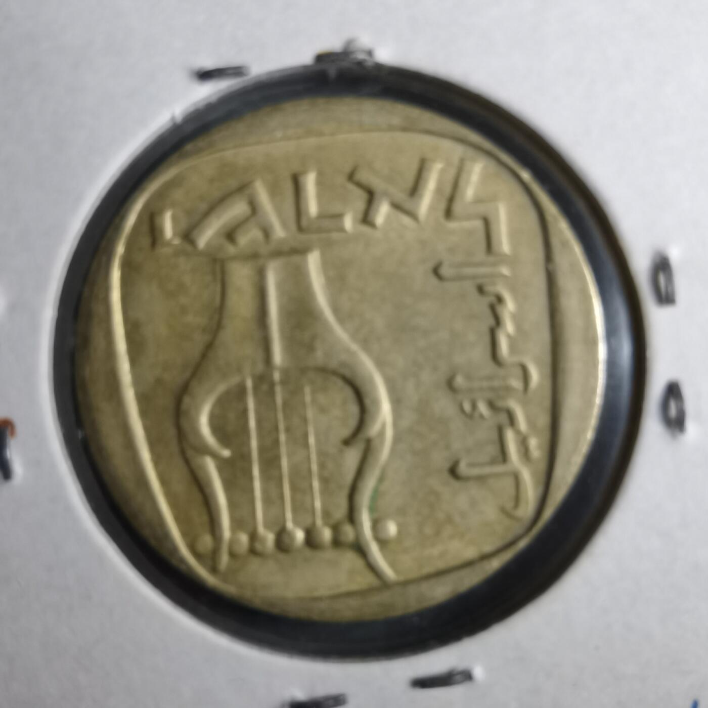 沼泽如烟--第902场