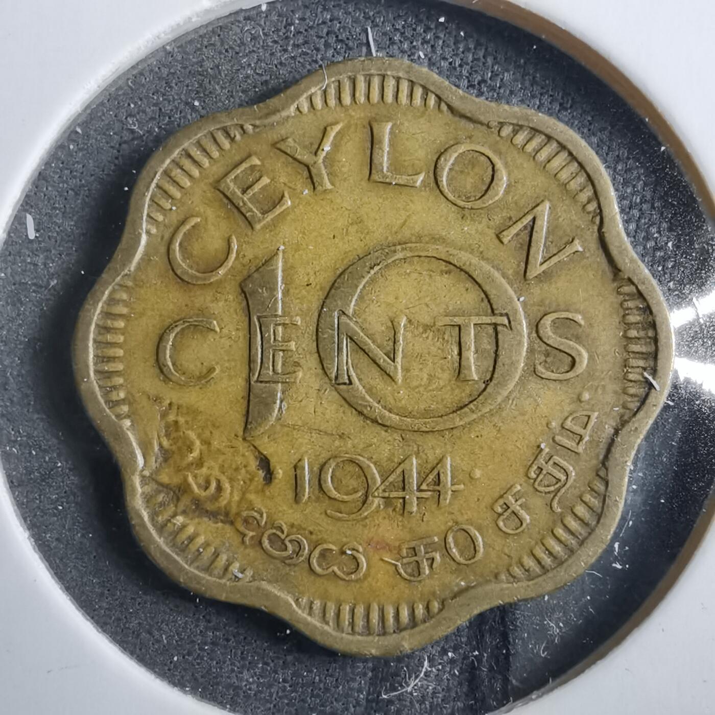 沼泽如烟--第902场