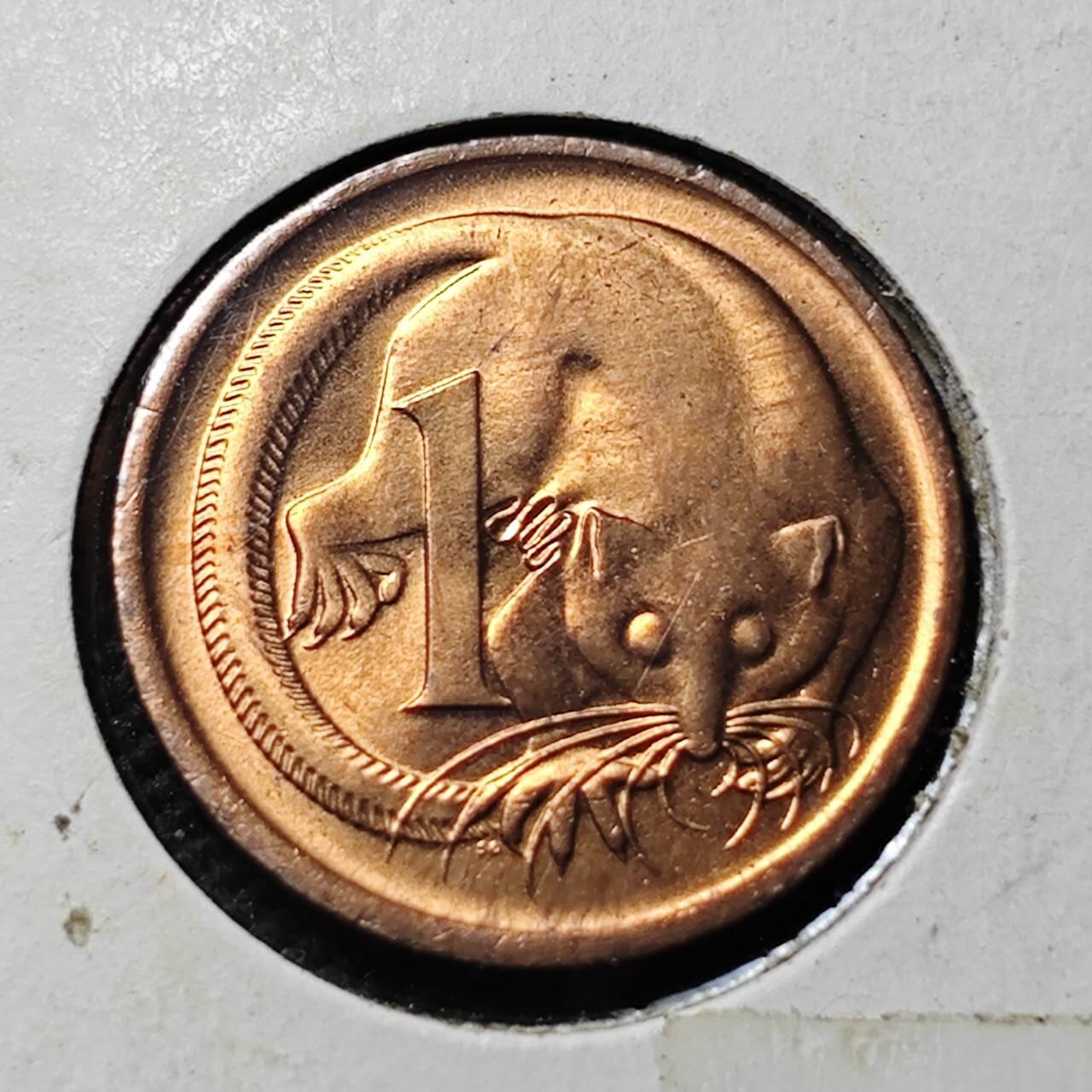 KK钱币收藏小铺  第369场  2月预留时间 周末发货  澳大利亚1分铜币 好品