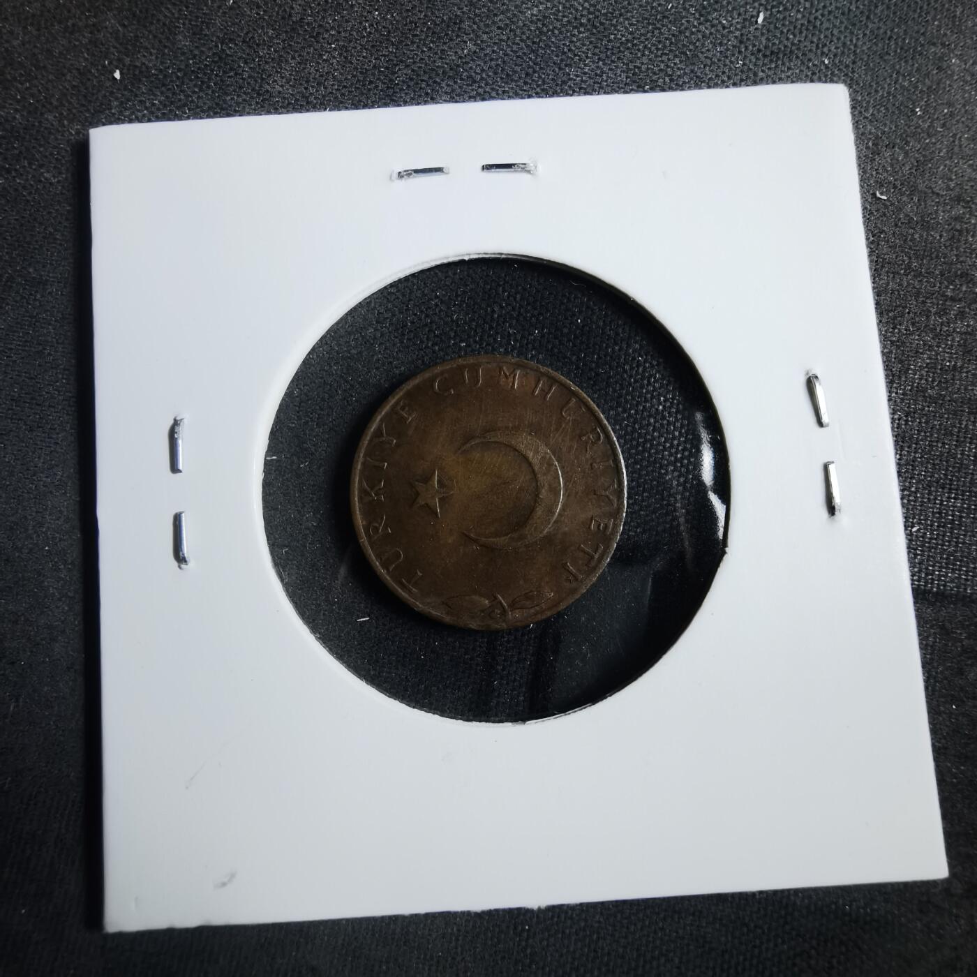 沼泽如烟--第902场