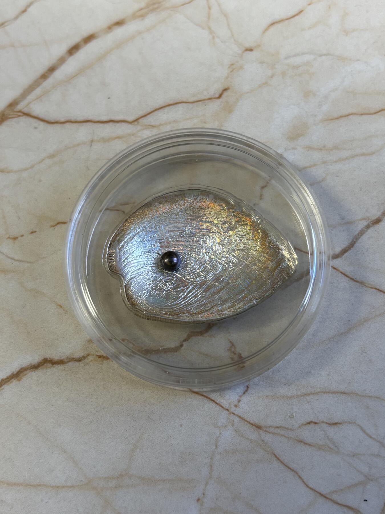 第181期拍卖 帕劳2012年彩鲍含珠精制鲍鱼贝壳幻彩镶珍珠银币带证书，999银，25克，发行2000枚