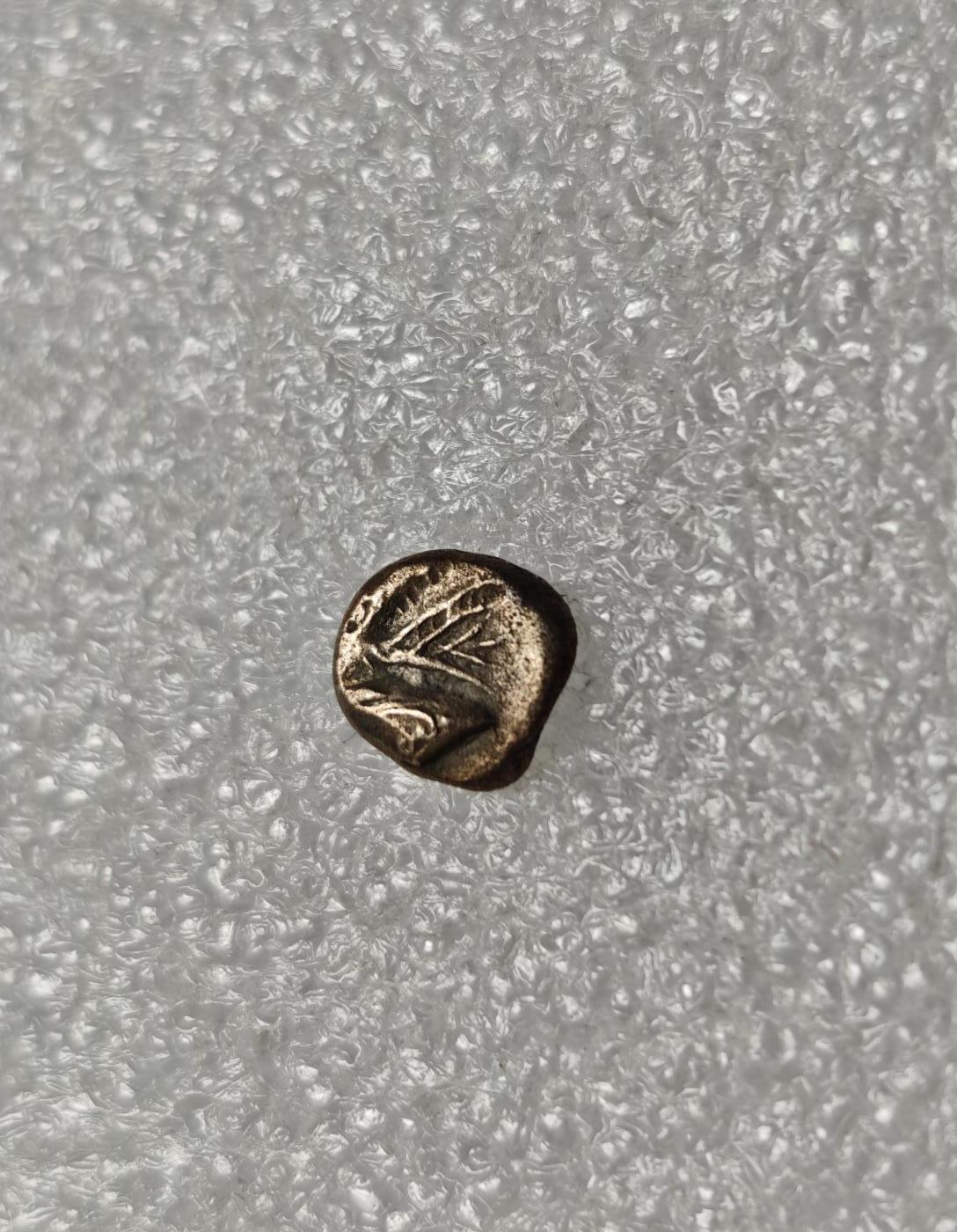 瓶子🏺第216期拍卖会  公元前500-前495年卡利亚地区首府哈利卡纳苏斯城发行 正面是龙形海怪刻托斯的头像 背面是网格形花饰中的大芒星 哈利卡纳苏斯，卡利亚地区首府，今天的土耳其博德鲁姆，古代世界七大奇迹之一的摩索拉斯王陵所在地