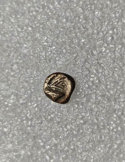 瓶子🏺第216期拍卖会 -  公元前500-前495年卡利亚地区首府哈利卡纳苏斯城发行 正面是龙形海怪刻托斯的头像 背面是网格形花饰中的大芒星 哈利卡纳苏斯，卡利亚地区首府，今天的土耳其博德鲁姆，古代世界七大奇迹之一的摩索拉斯王陵所在地