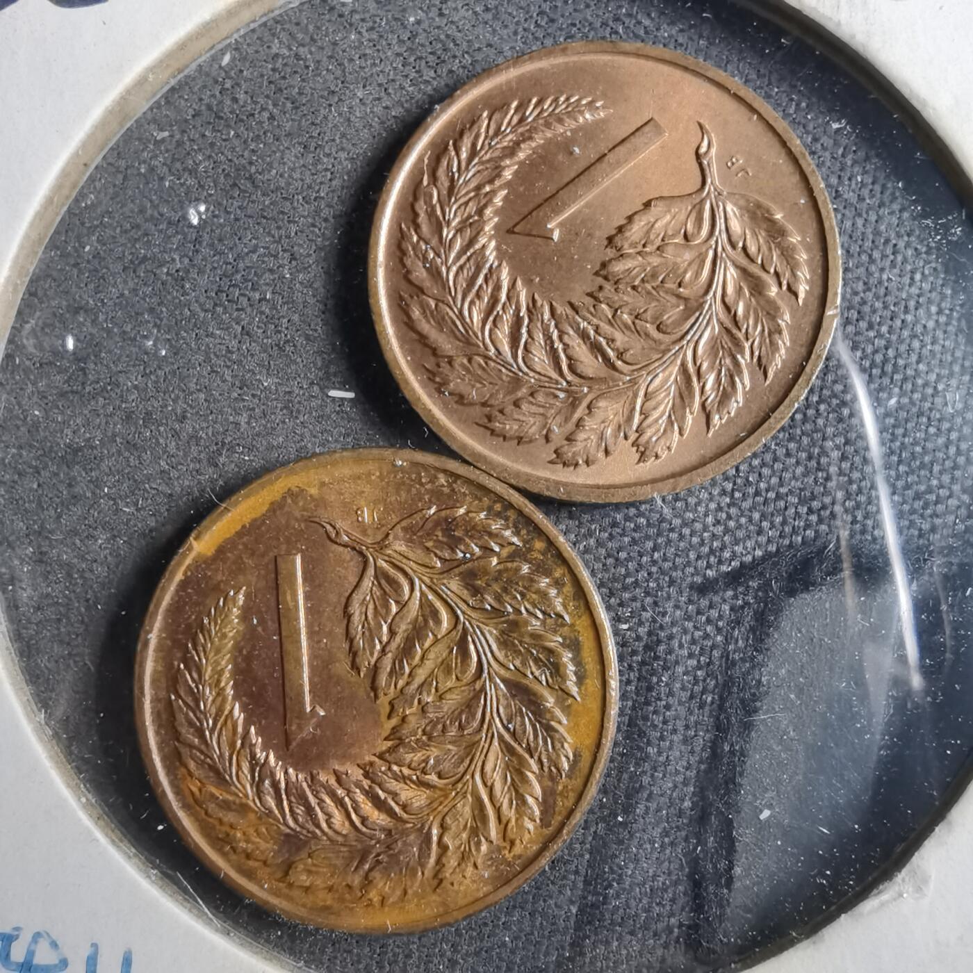 沼泽如烟--第902场 新西兰两枚