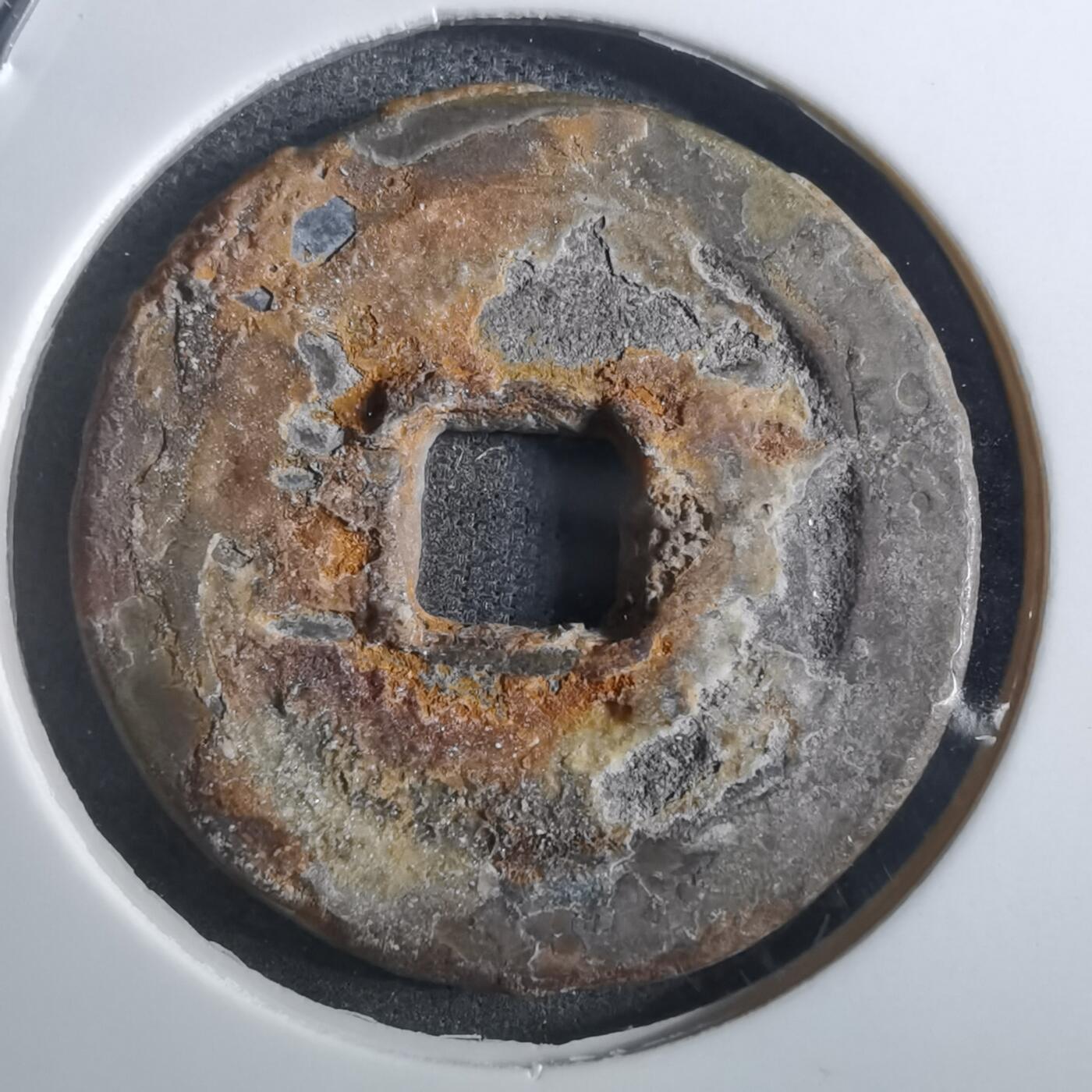 沼泽如烟--第901场