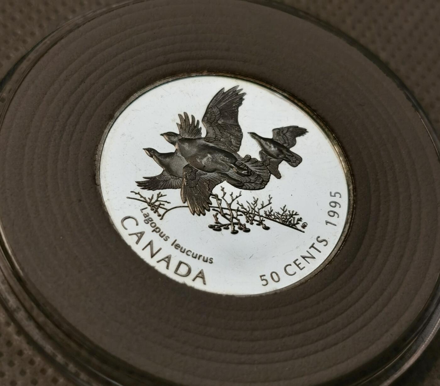 甄臻铺-世界币章拍卖（第39期）送拍享返佣金等优惠多多 加拿大白尾雷鸟 PF 精制 50分银币  1995 27.13mm 2.08mm 9.34g 925Ag