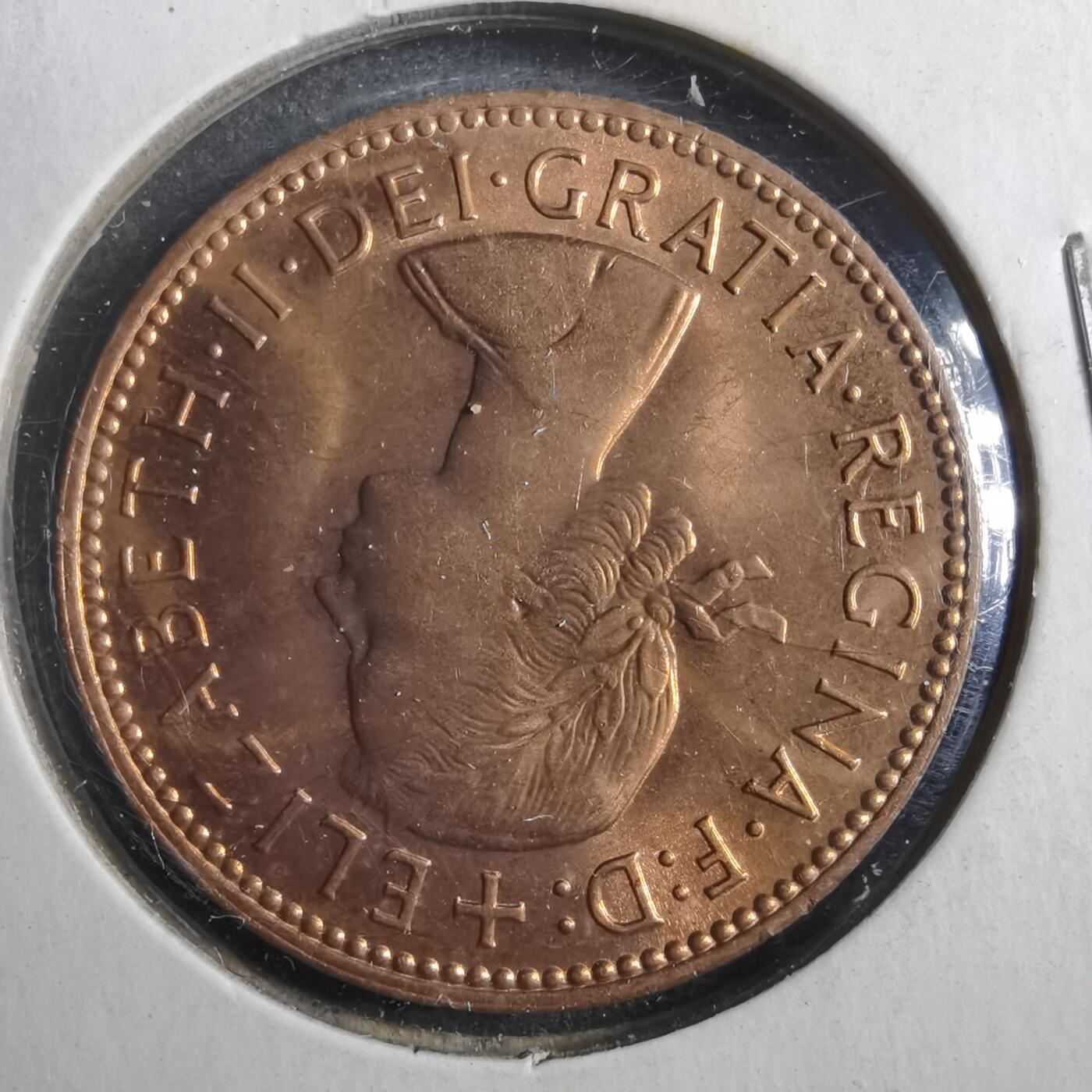 沼泽如烟--第902场