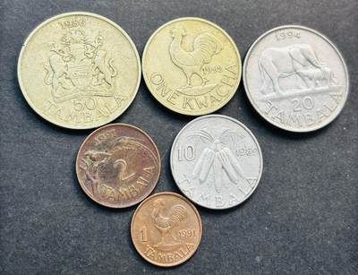 文馨钱币收藏第 281 场，【 长期接收代拍品】银元，银币，套币，纸币专场（本场截拍后休息三天，19 号发货） - 马拉维动物系列 6 枚套币