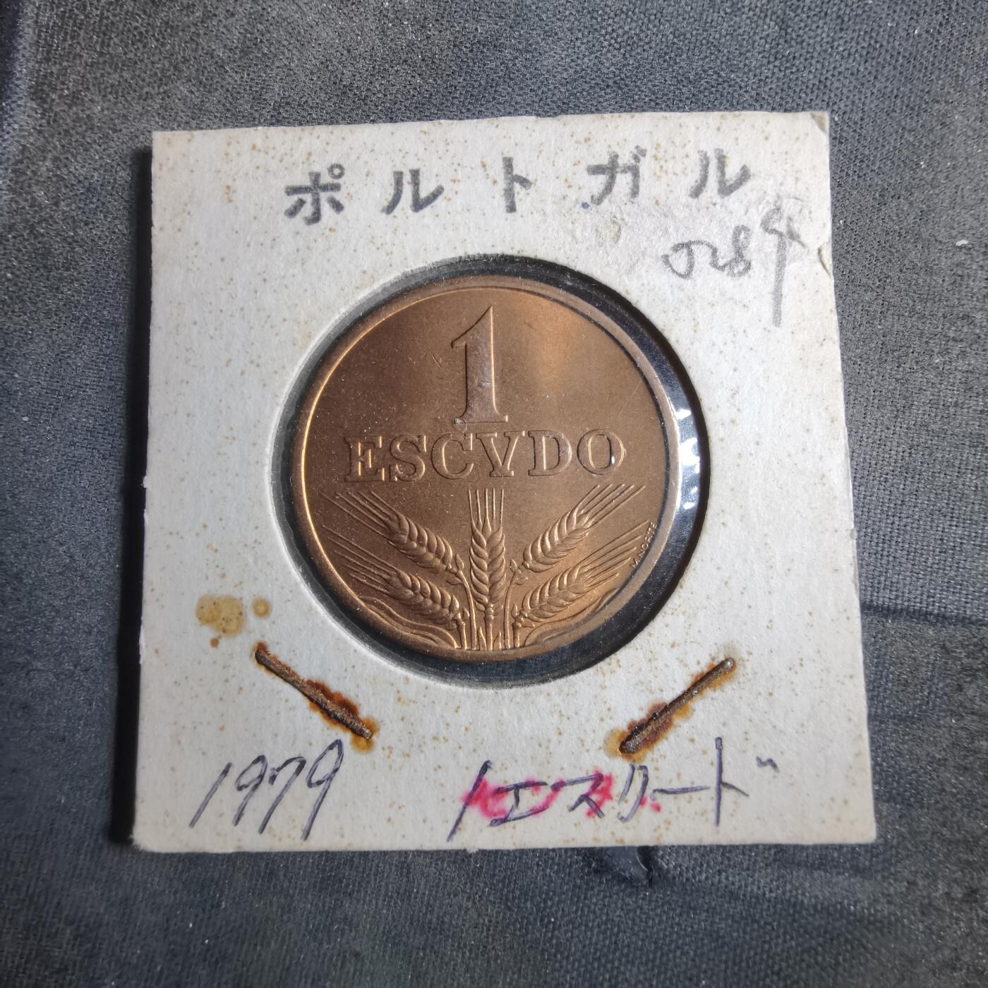 沼泽如烟--第902场