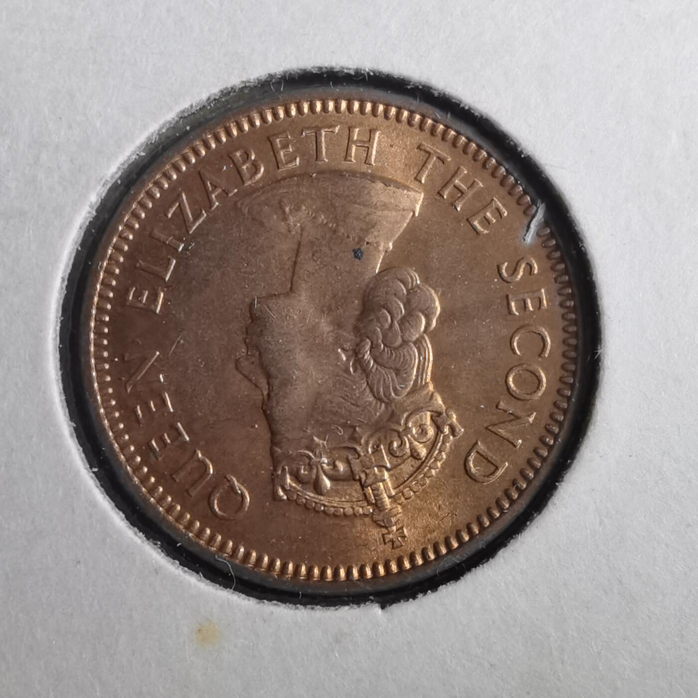 沼泽如烟--第902场