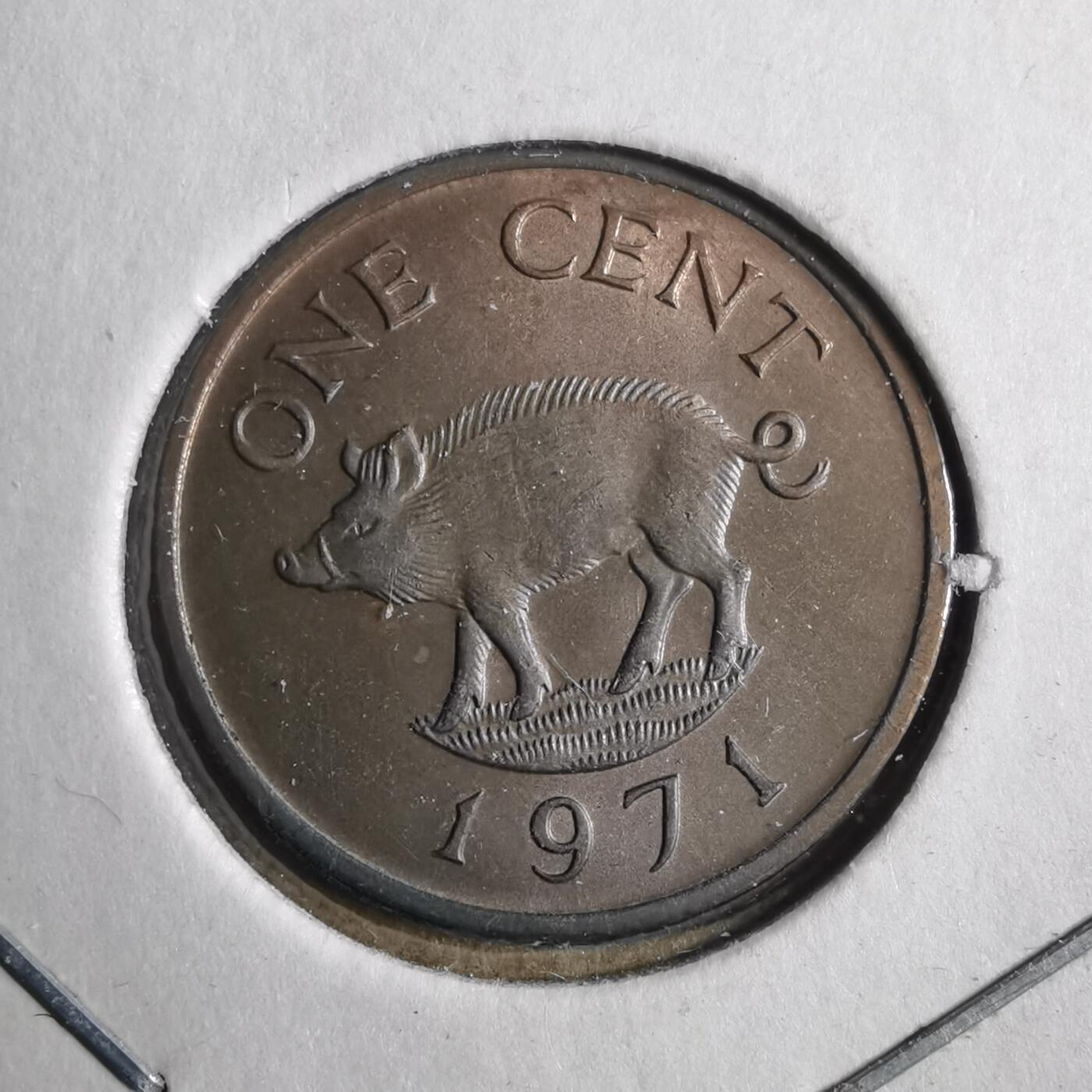 沼泽如烟--第902场