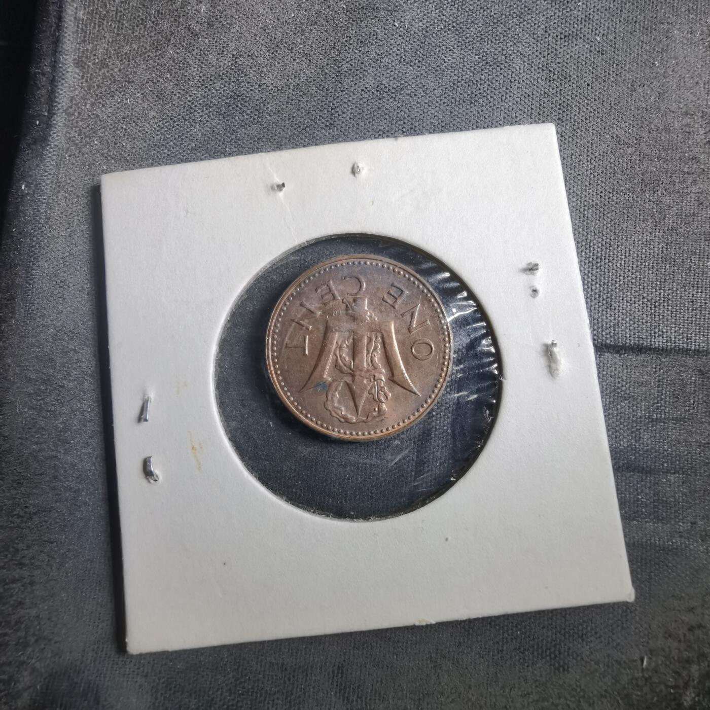 沼泽如烟--第902场