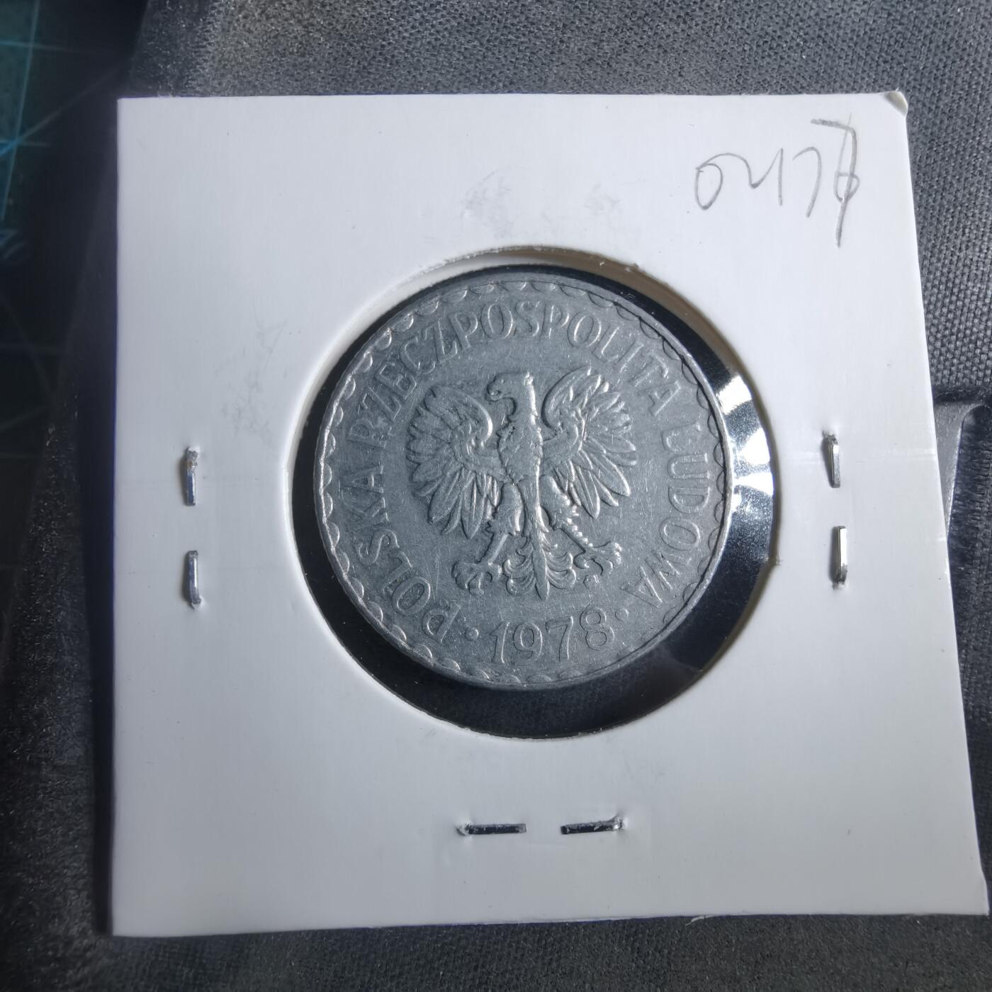 沼泽如烟--第902场