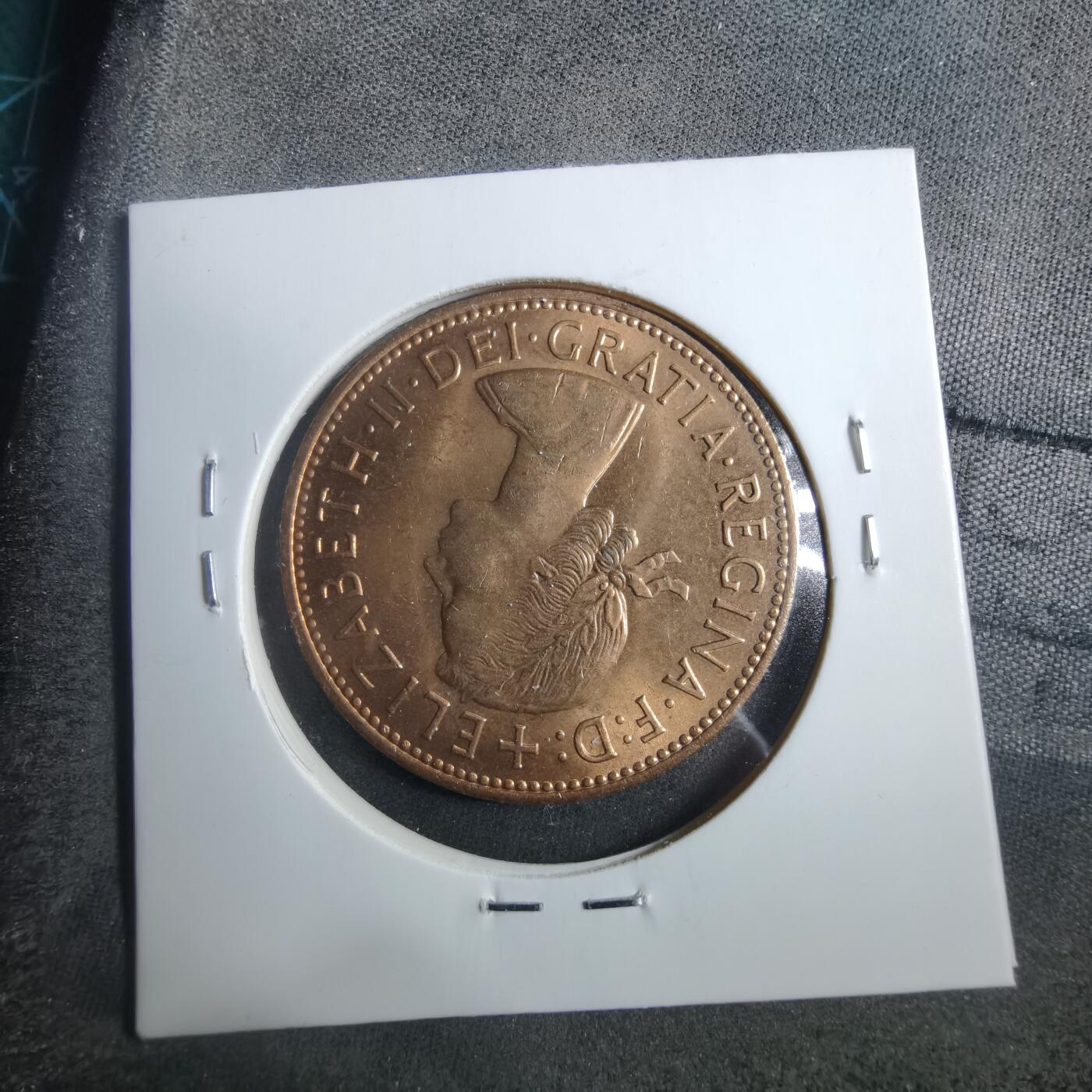 沼泽如烟--第902场