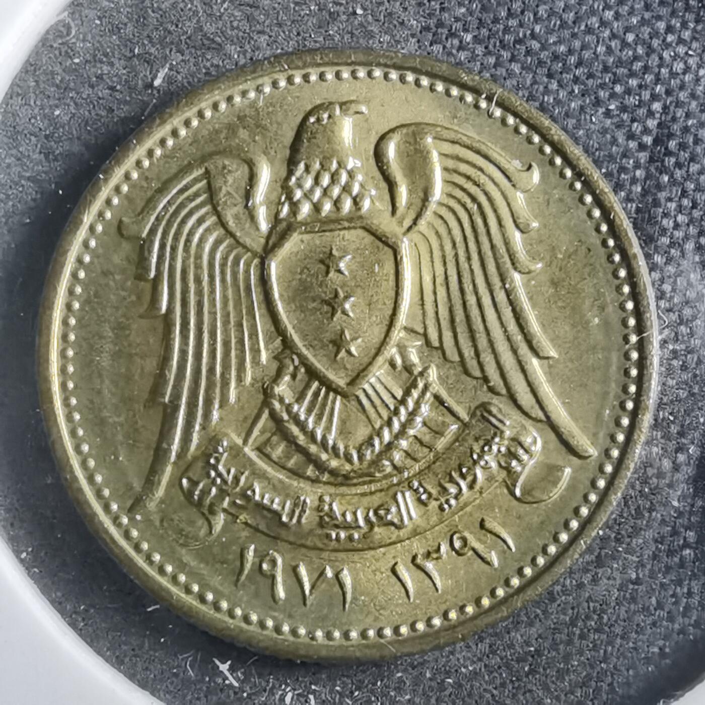 沼泽如烟--第902场