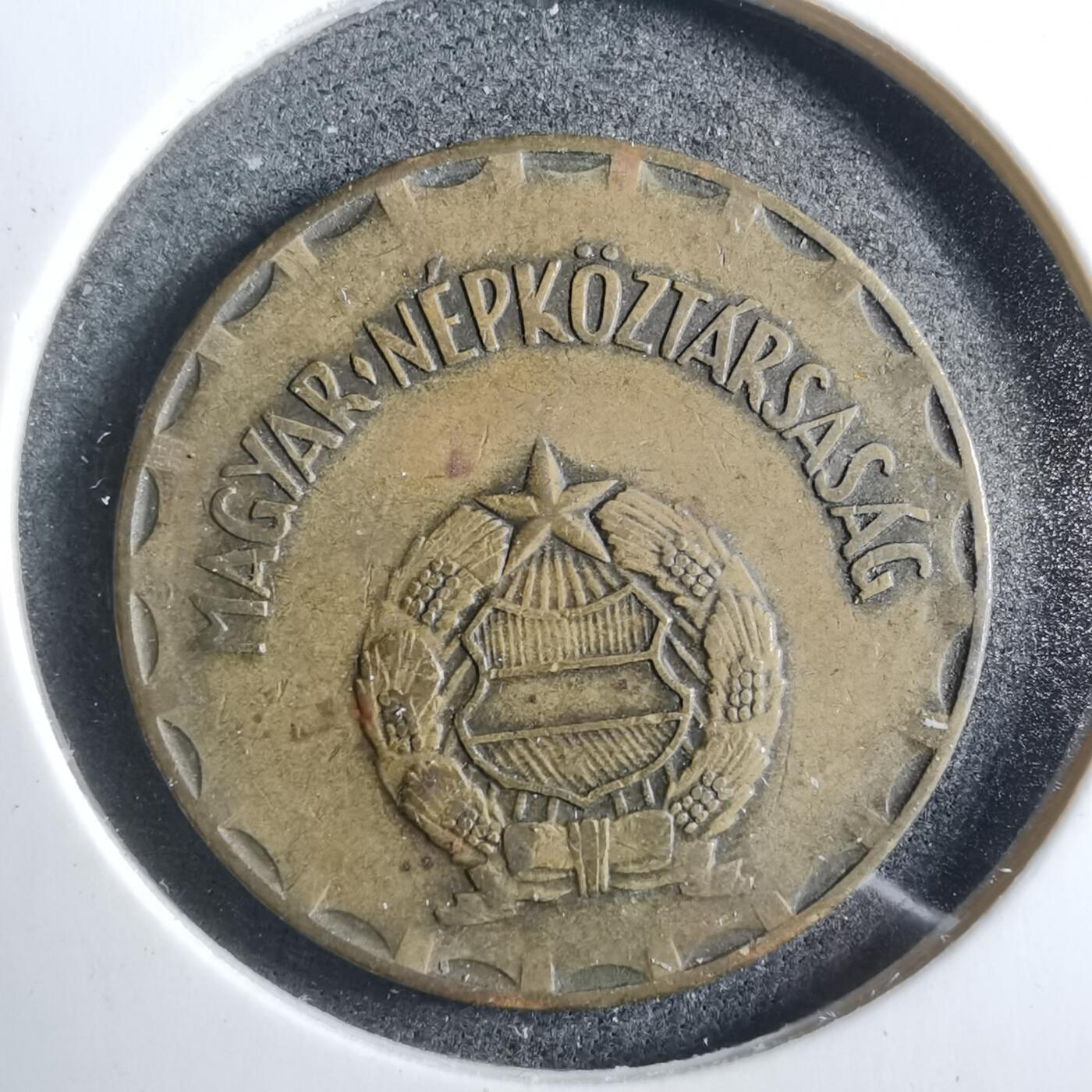 沼泽如烟--第902场