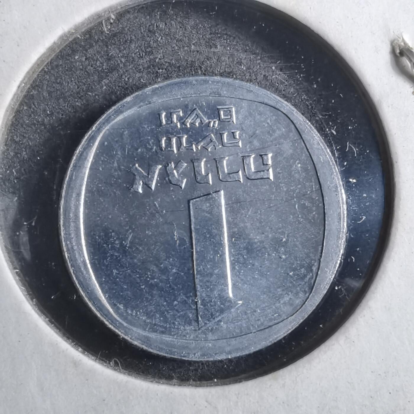 沼泽如烟--第902场