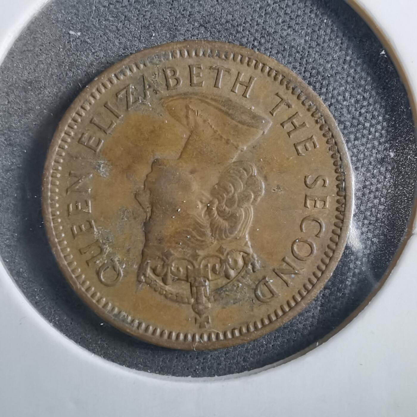 沼泽如烟--第902场