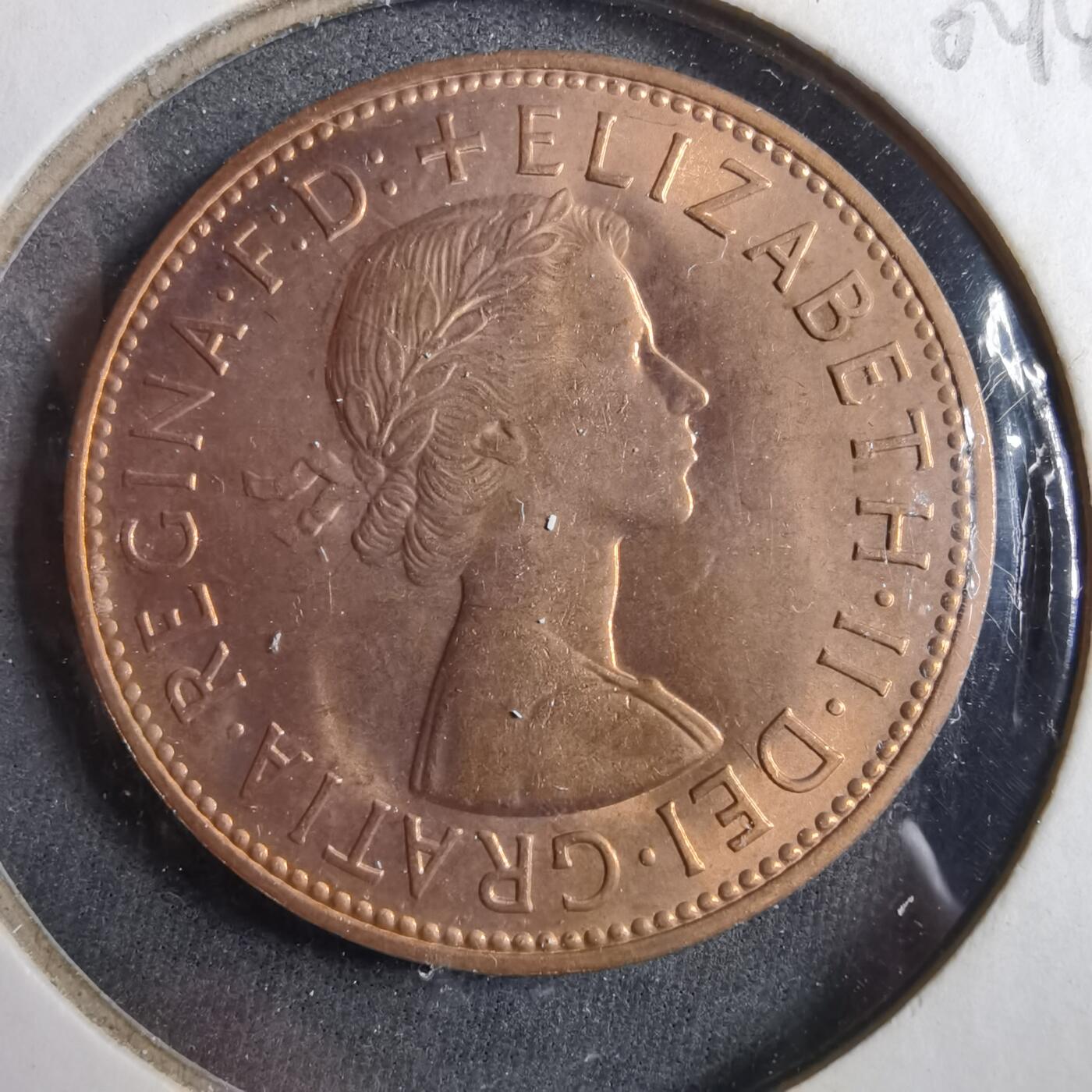 沼泽如烟--第902场