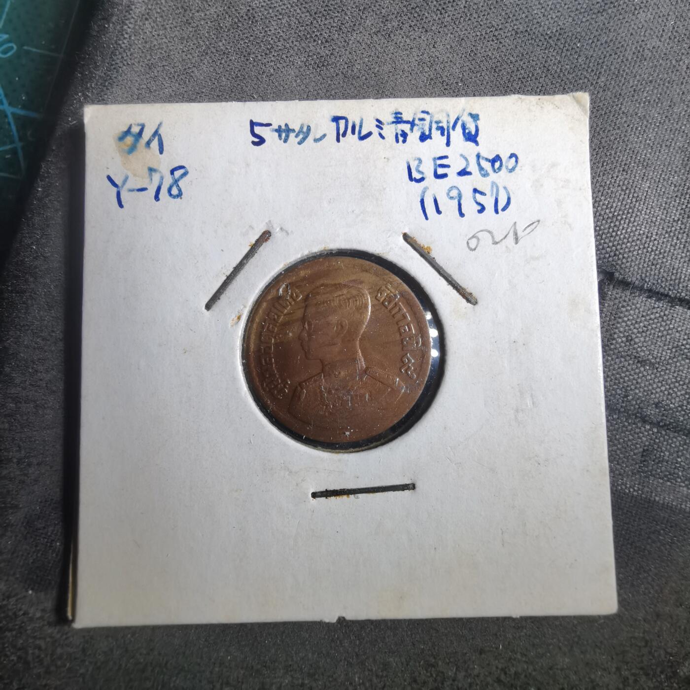 沼泽如烟--第902场