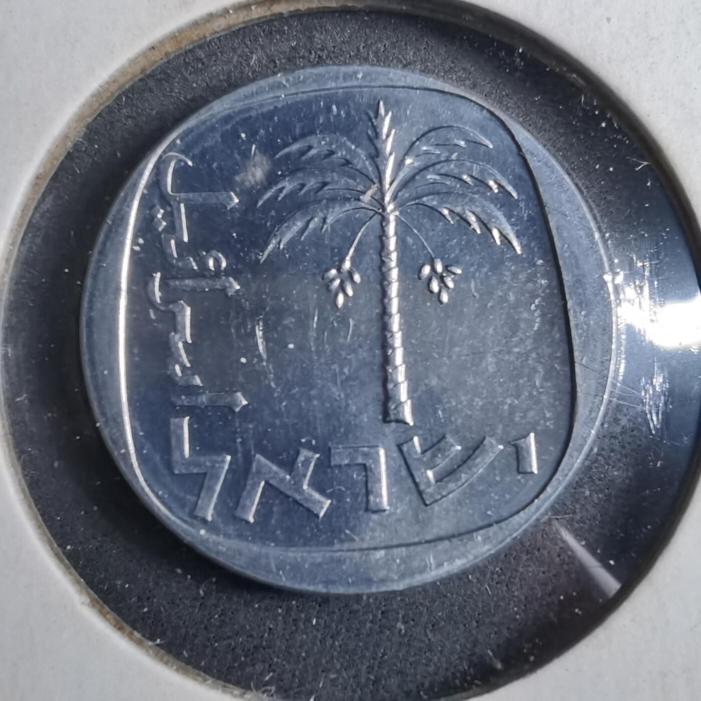 沼泽如烟--第902场