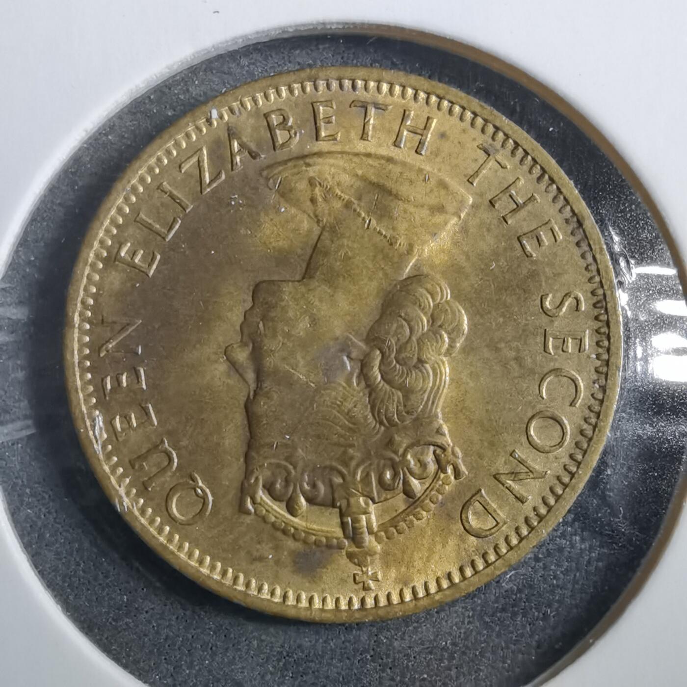 沼泽如烟--第902场