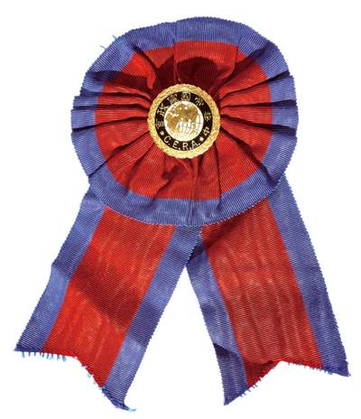 中新泰星2025年秋拍 徽章 纪念章及金银器专场 - 清代中华帝国宪政会金质（大型）纪念章一枚