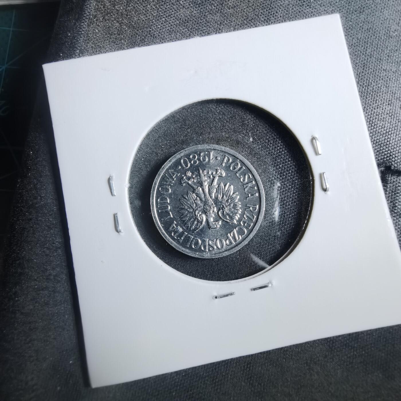 沼泽如烟--第902场