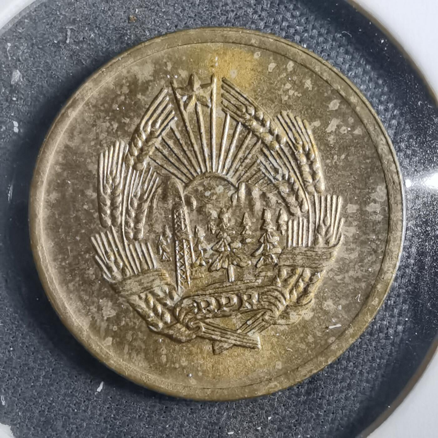 沼泽如烟--第902场