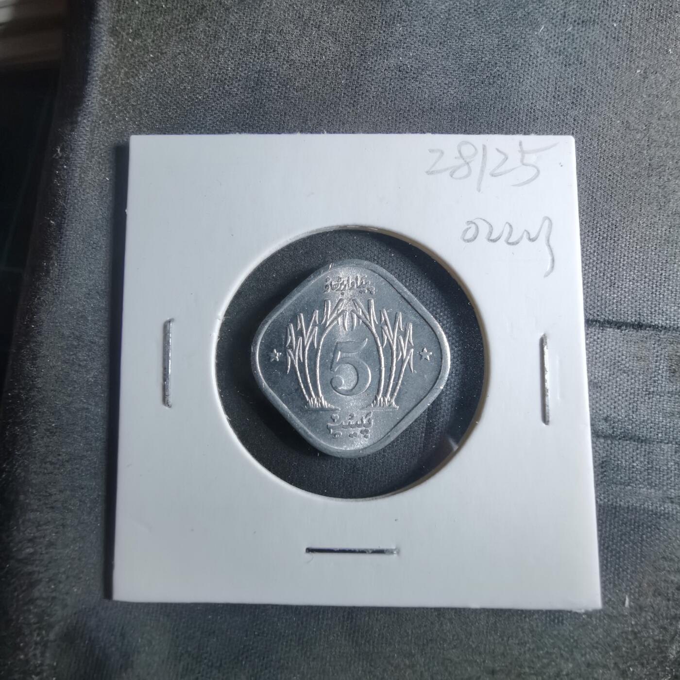 沼泽如烟--第902场