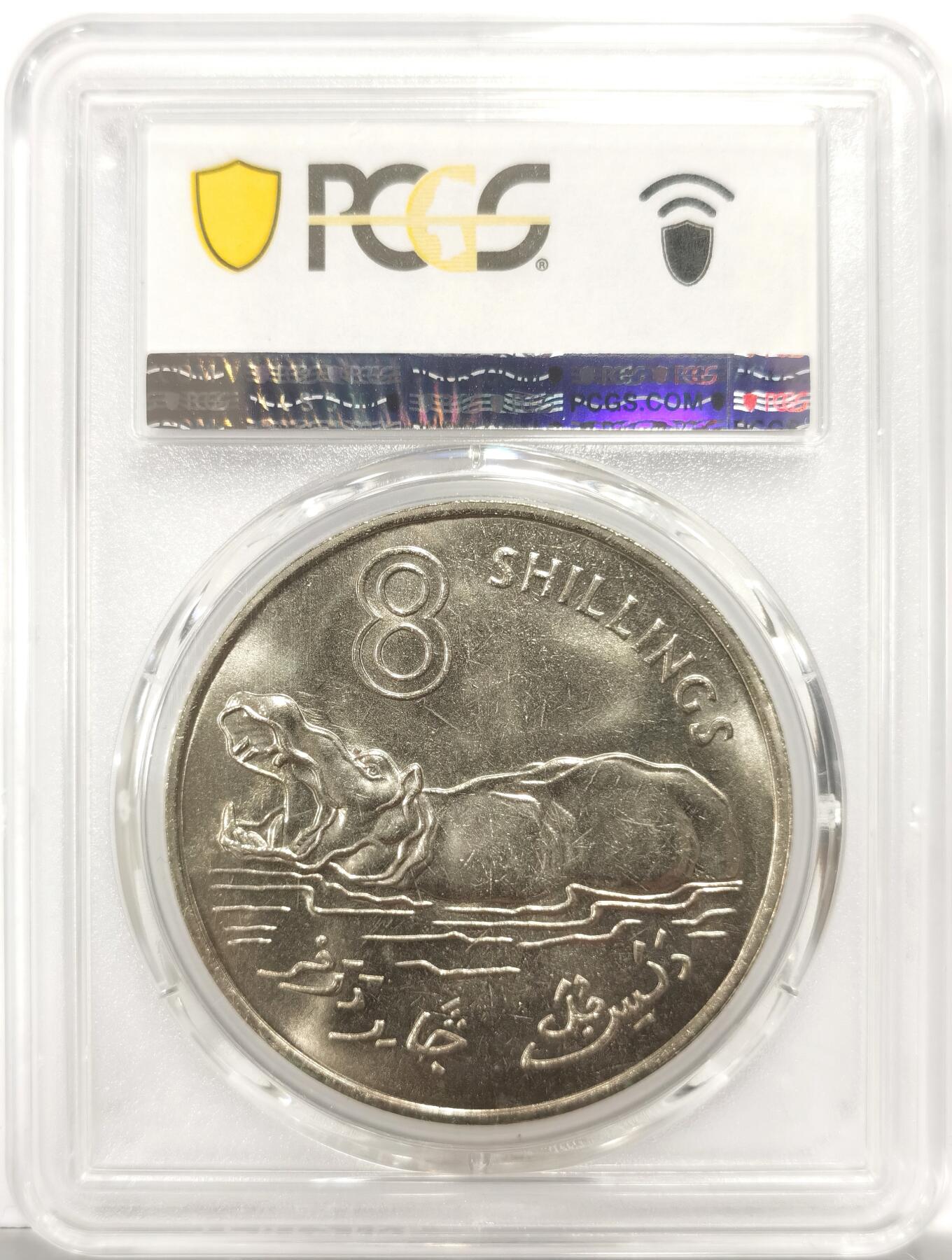 博洋堂世界钱币拍卖第146期（全场包邮） PCGS MS66 冈比亚1970年8先令大河马币，大镍币，热门品种，高分难得