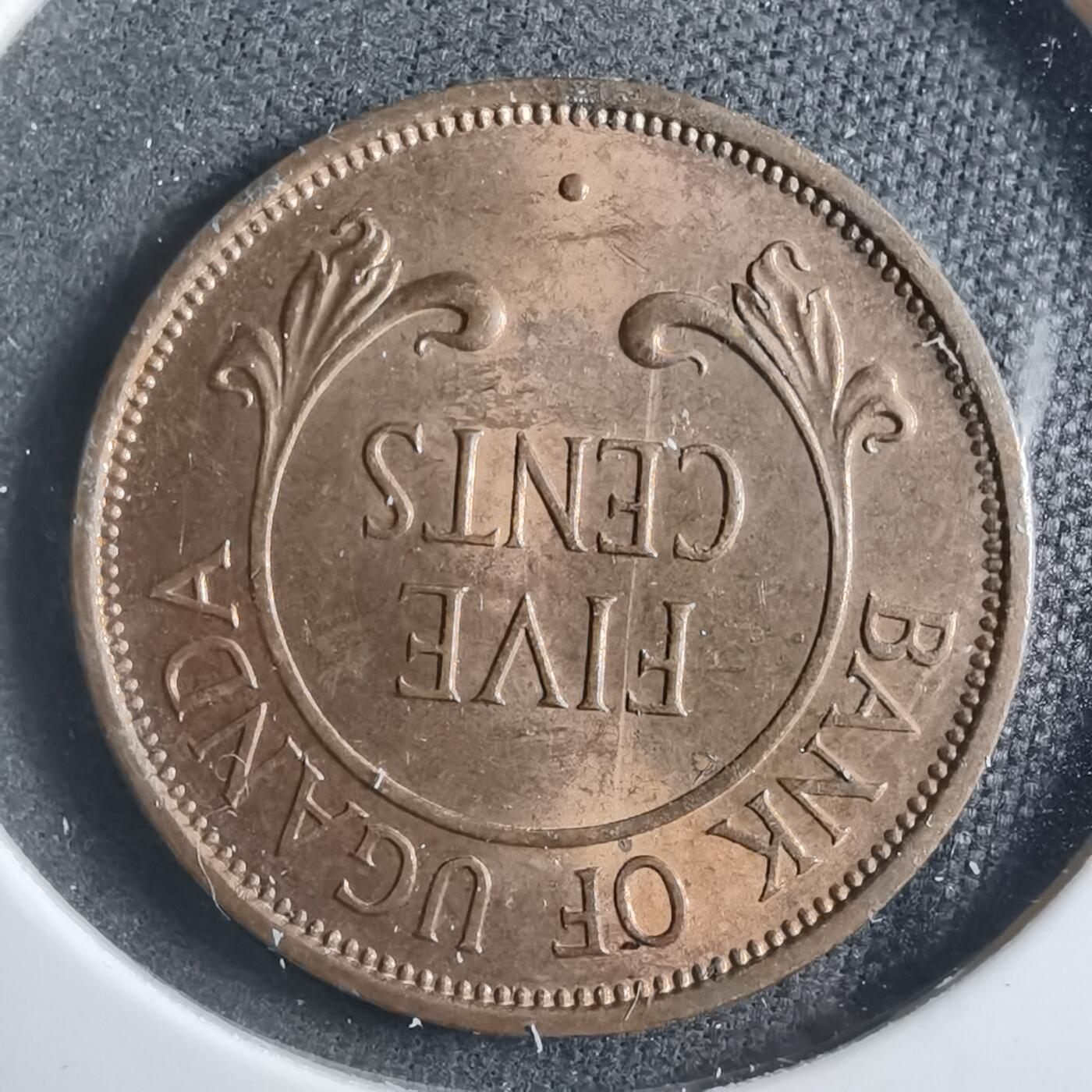 沼泽如烟--第902场