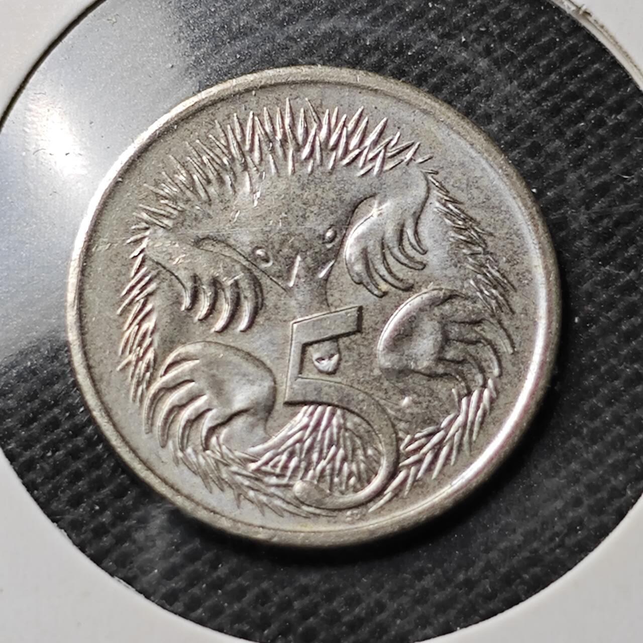 KK钱币收藏小铺  第369场  2月预留时间 周末发货  2014澳大利亚5分 老年版