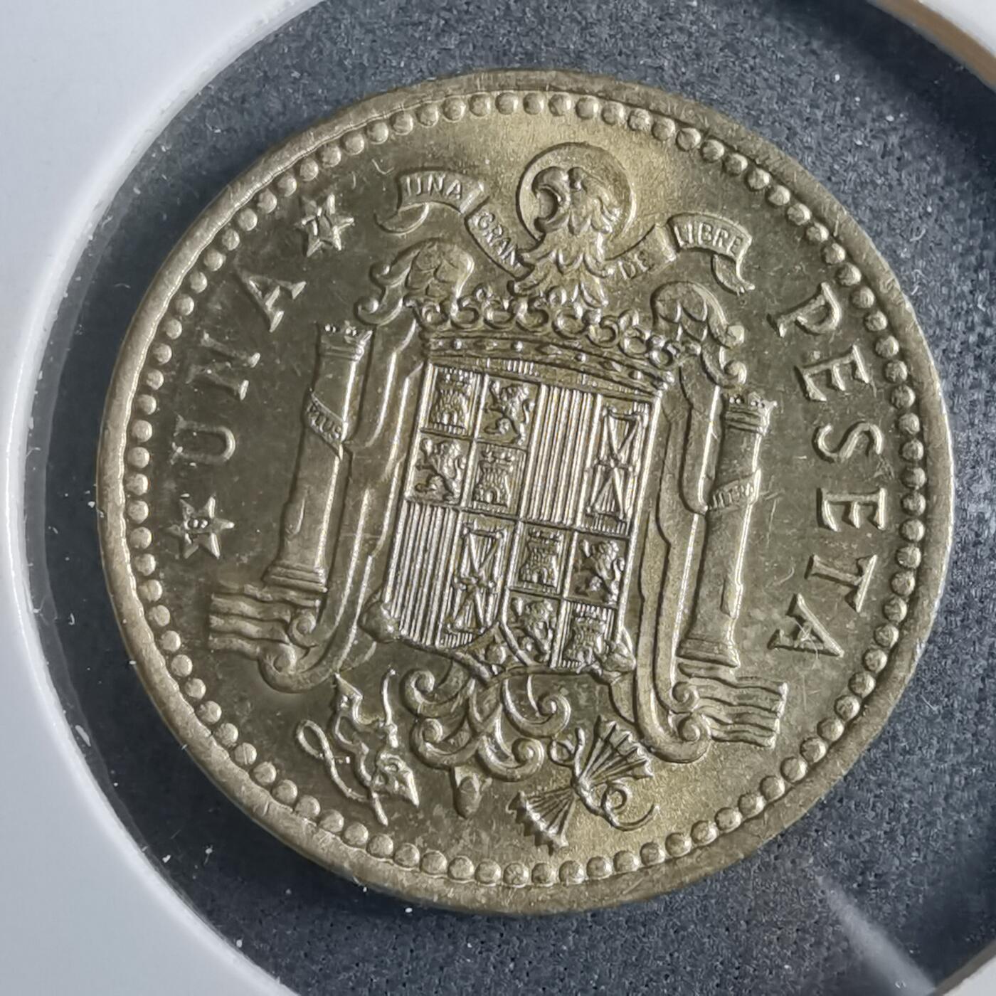 沼泽如烟--第902场