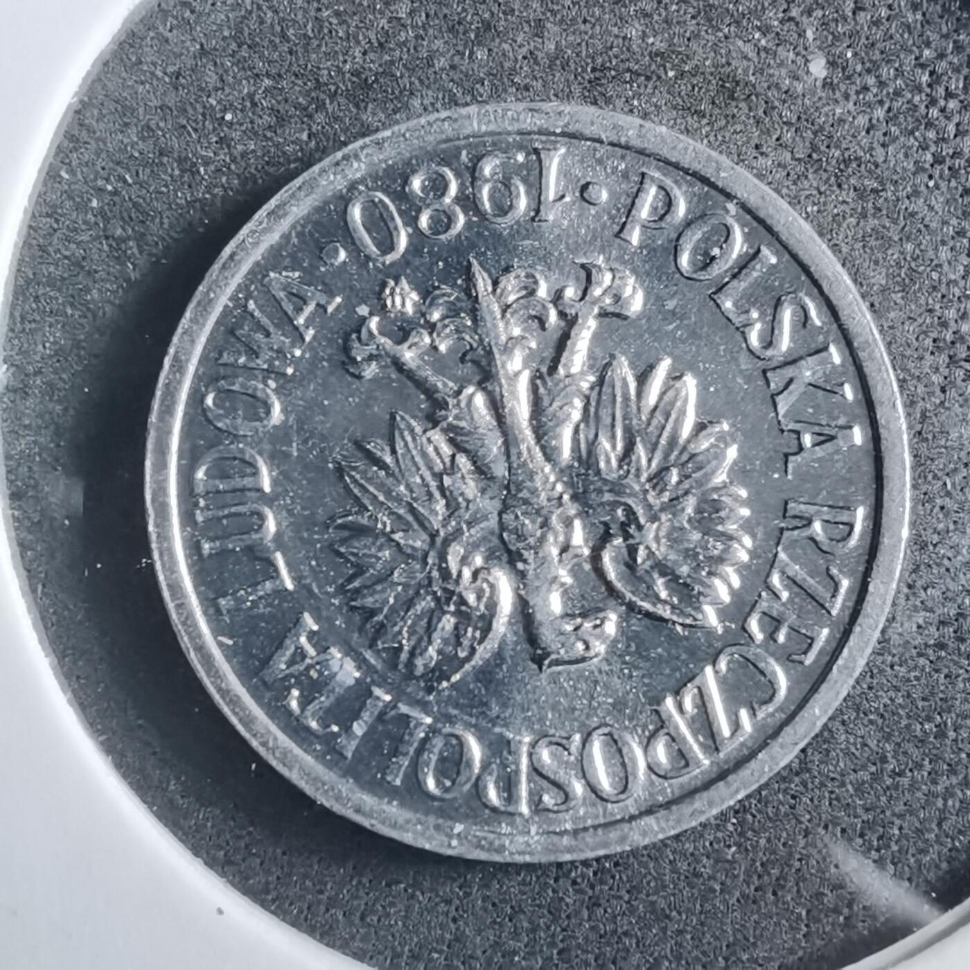 沼泽如烟--第902场