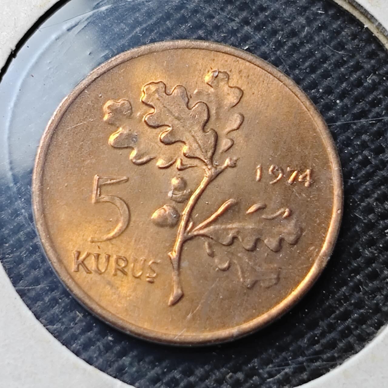 KK钱币收藏小铺  第369场  2月预留时间 周末发货  土耳其5库鲁铜币 好品