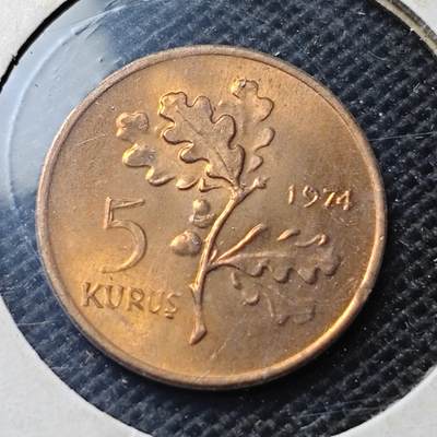 KK钱币收藏小铺  第369场  2月预留时间 周末发货 -  土耳其5库鲁铜币 好品