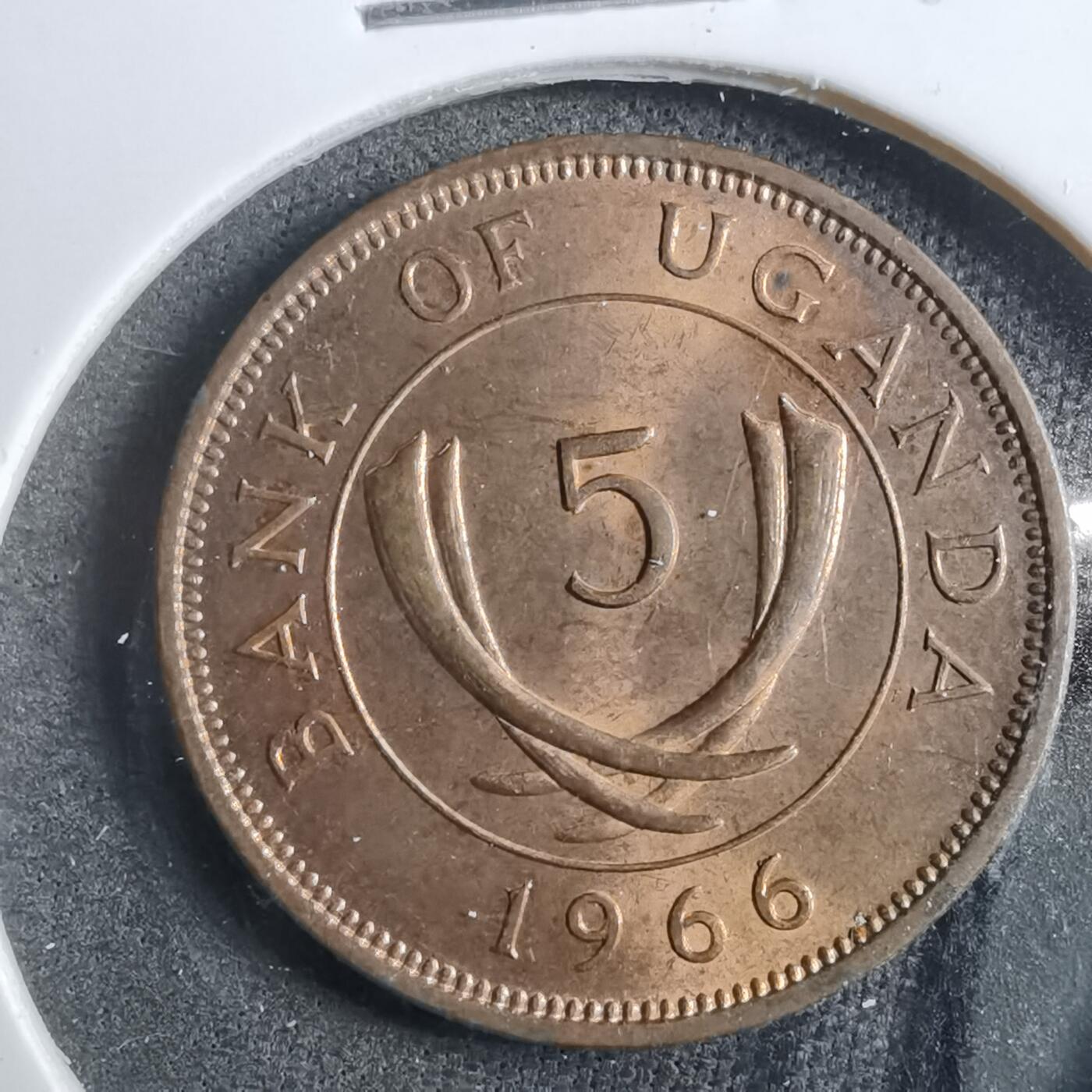 沼泽如烟--第902场