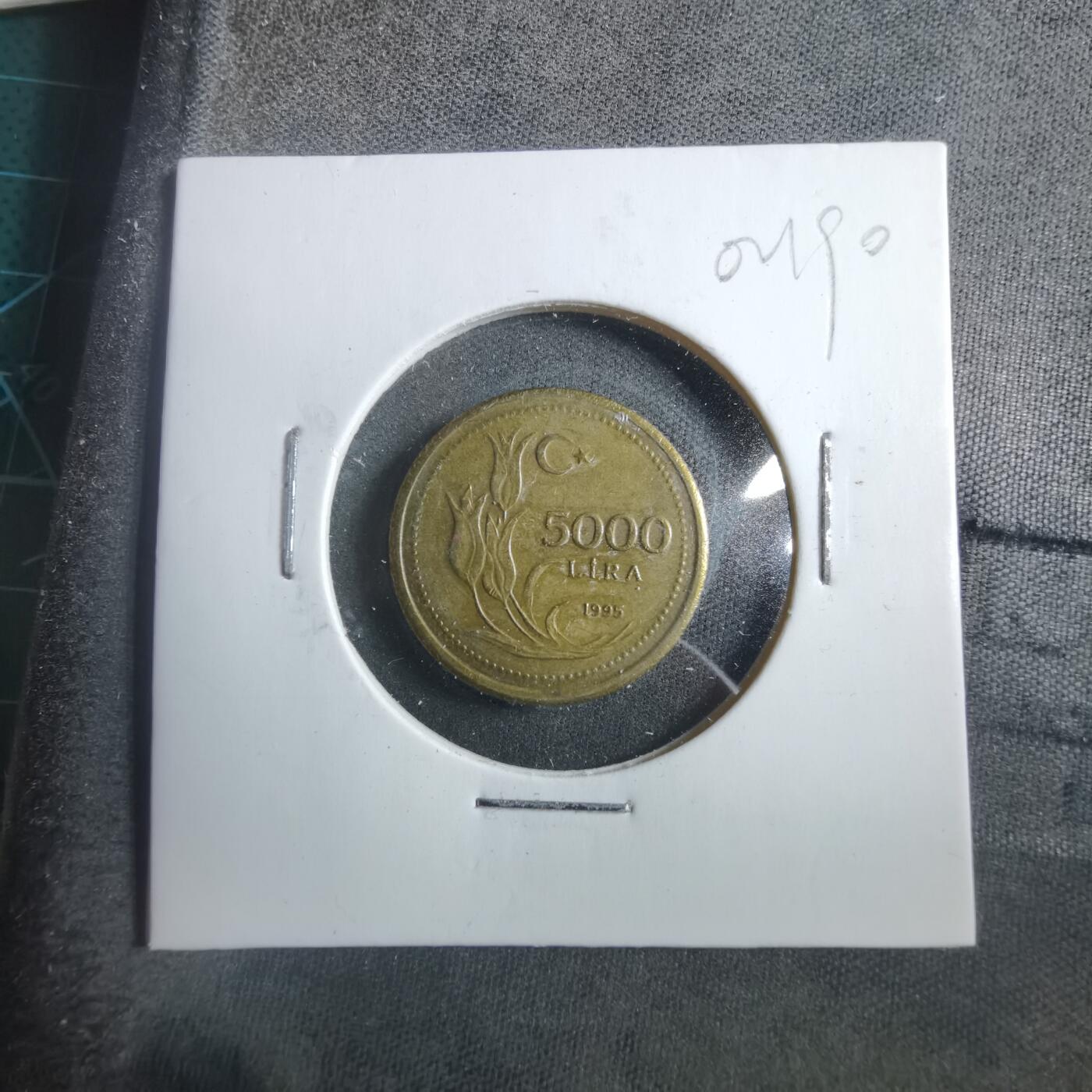 沼泽如烟--第902场