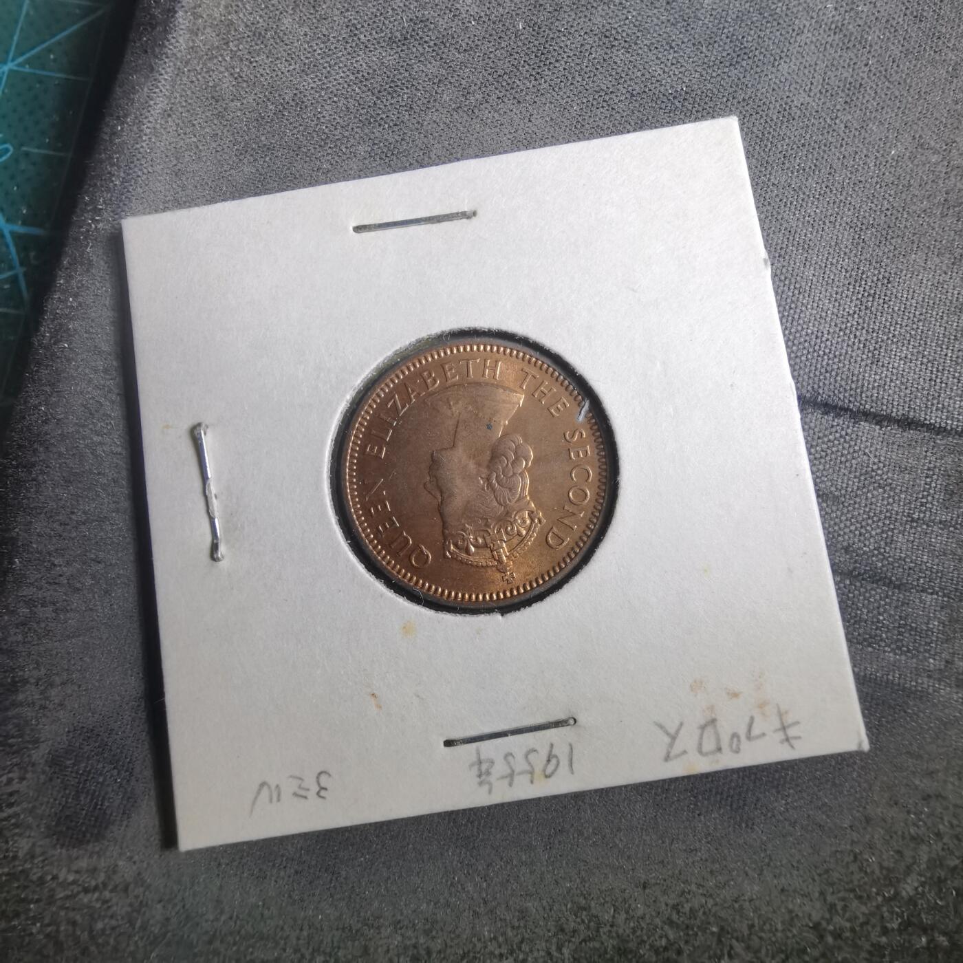 沼泽如烟--第902场