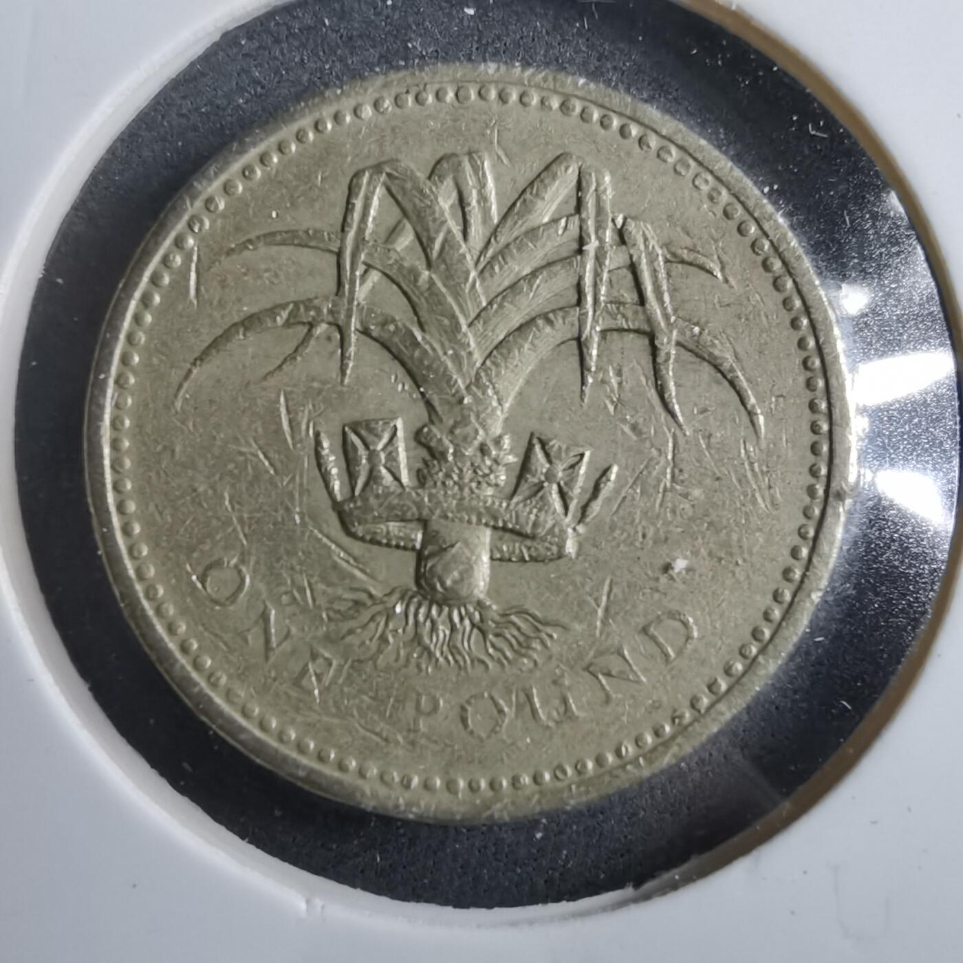 沼泽如烟--第902场 英国1990年一磅