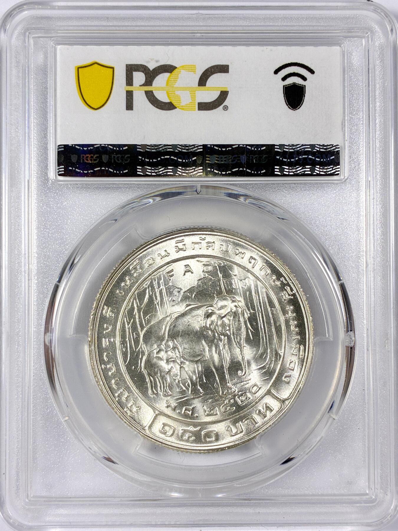 【雨安】【世界币章114期】2025-11-15 周六 19:30 保真 8秒倒数自动落锤 高效拍卖 [评级现代] Thailand 泰国 150泰铢 1977年 F.A.O PCGS-MS67