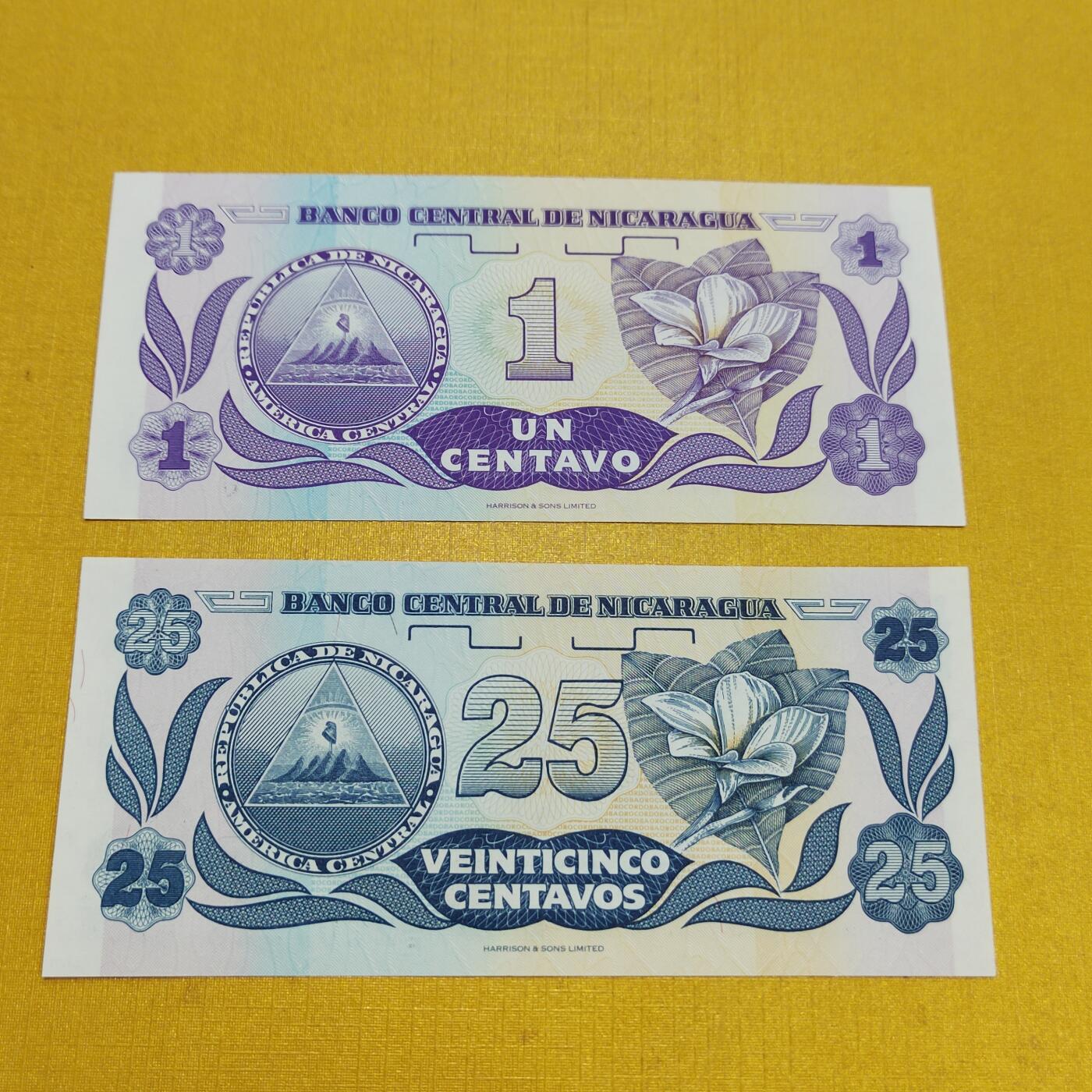PCAI钱币15-601  外国纸币小专场 尼加拉瓜二张