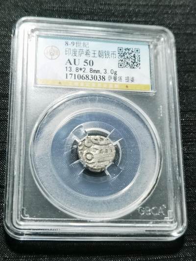 天下钱庄专场欢迎参拍 - 萨希王朝银币