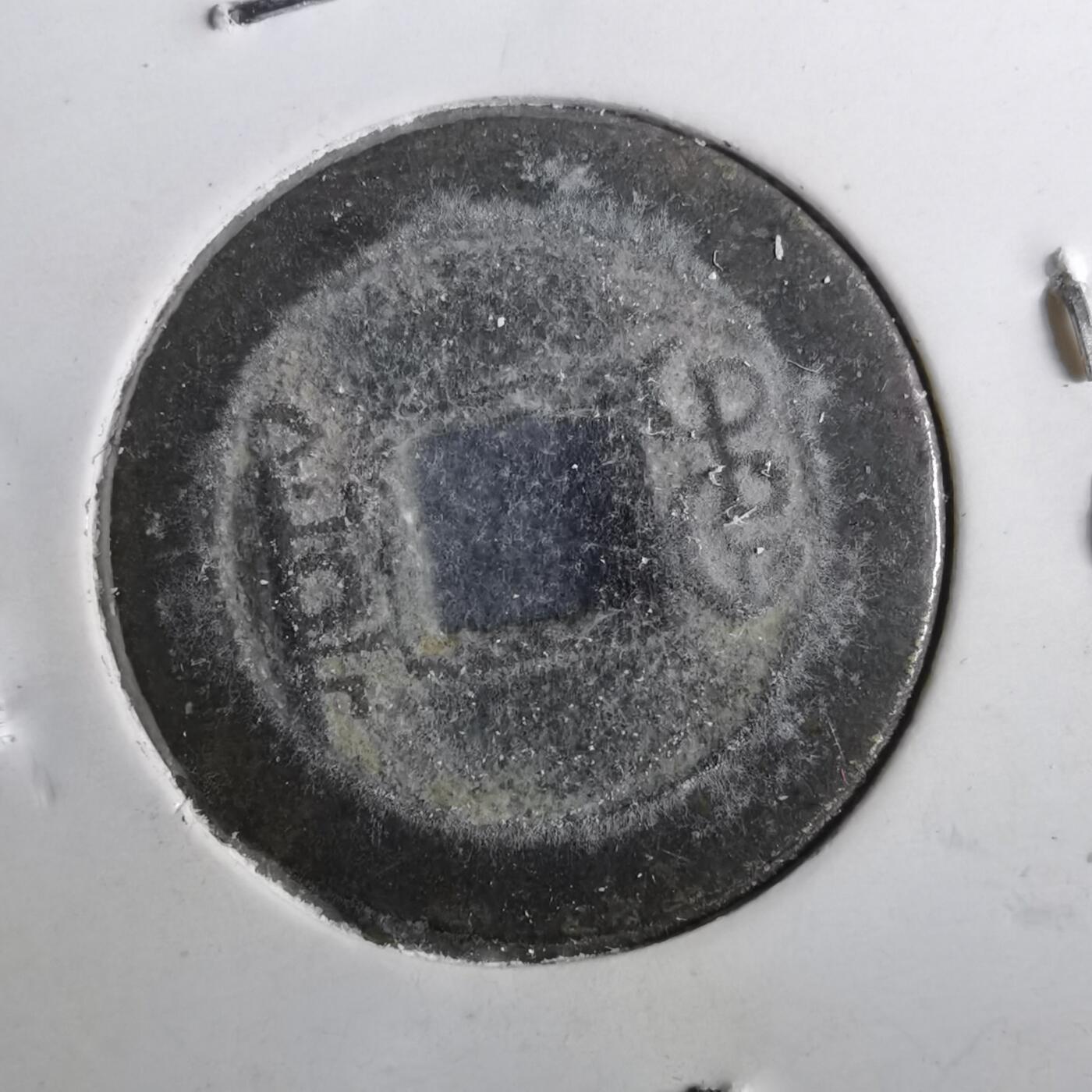 沼泽如烟--第901场 道光通宝