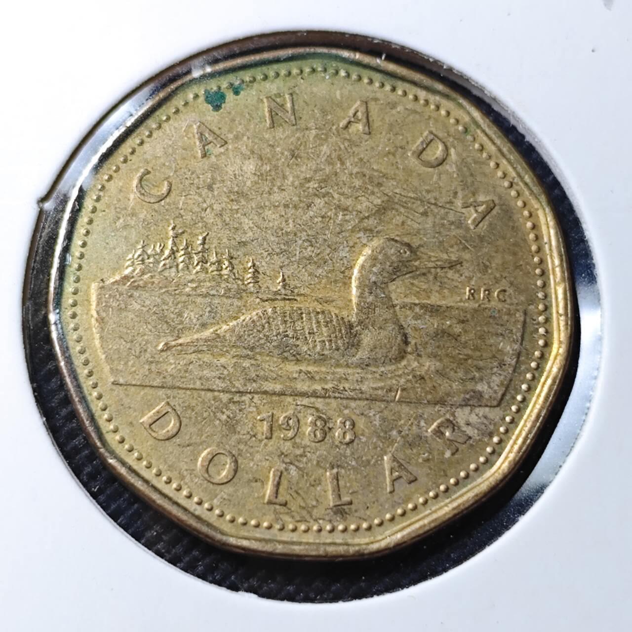KK钱币收藏小铺  第369场  2月预留时间 周末发货  1988加拿大1元