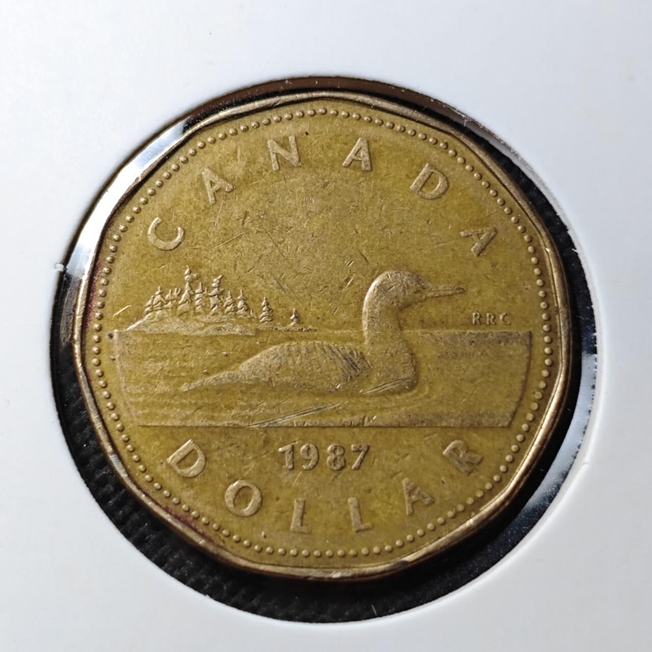 KK钱币收藏小铺  第369场  2月预留时间 周末发货  加拿大一元